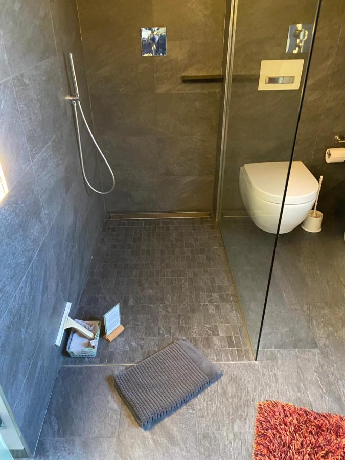 Apartment Mit Dachloggia سارلويس المظهر الخارجي الصورة