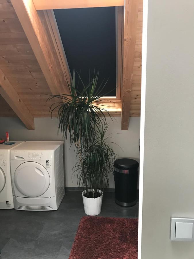 Apartment Mit Dachloggia سارلويس المظهر الخارجي الصورة